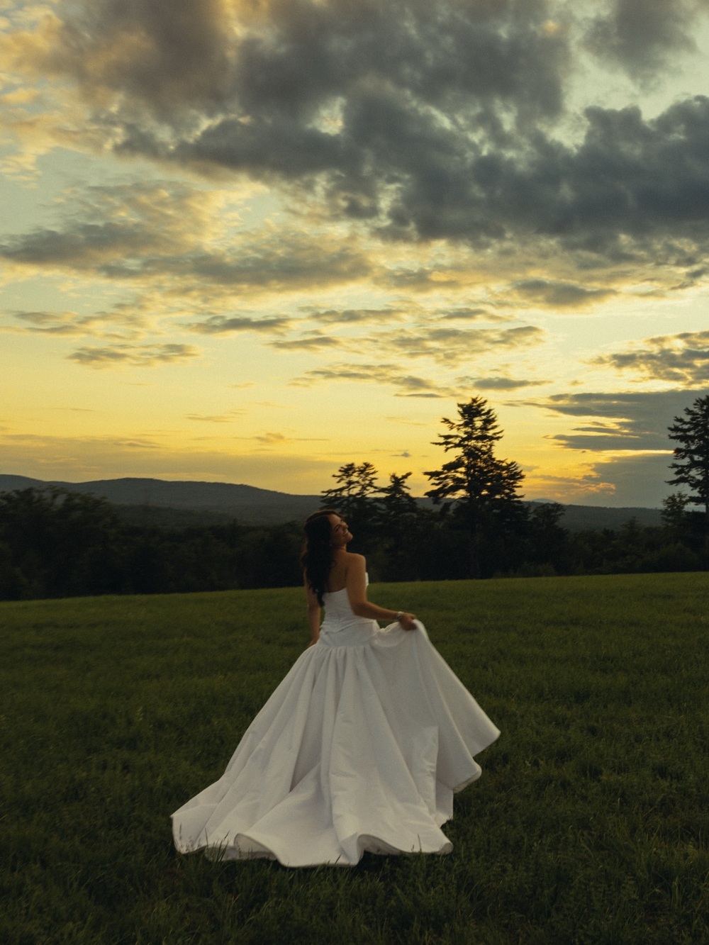Watters Parvati Drop Waist Gown - Picture 7 of 11